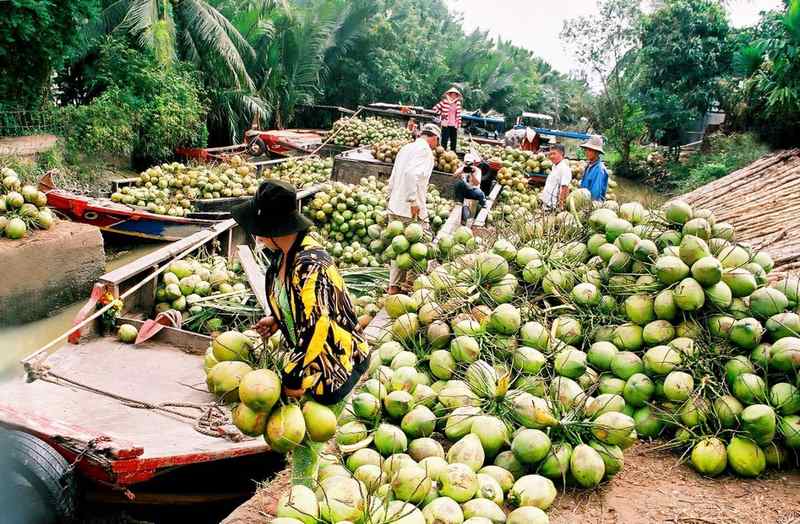 Bật mí" những cẩm nang đi du lịch Bến Tre cho những ai cần