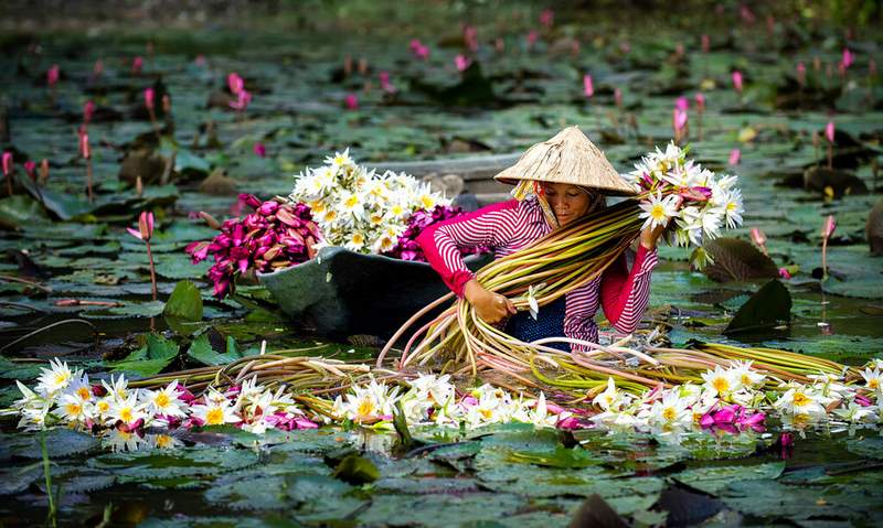 Đi du lịch Cần Thơ mùa nào đẹp và lãng mạn nhất