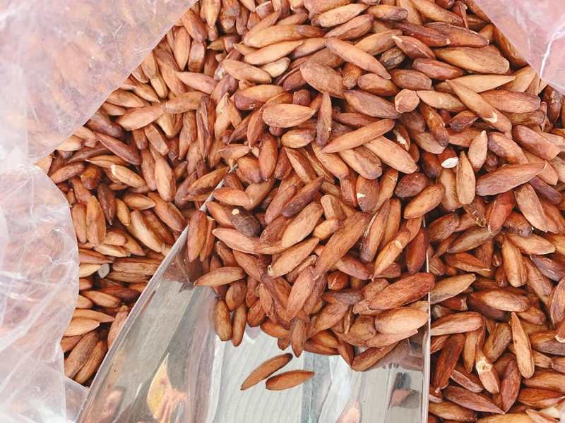 Nếm thử Mứt hạt bàng Côn Đảo thơm ngon quên lối về