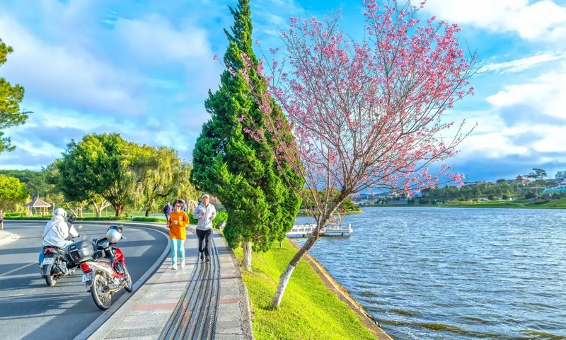 Cập nhật kinh nghiệm du lịch Đà Lạt mới nhất: địa điểm đẹp, quán ăn ngon, chỗ check-in hot và mẹo di chuyển tiết kiệm.