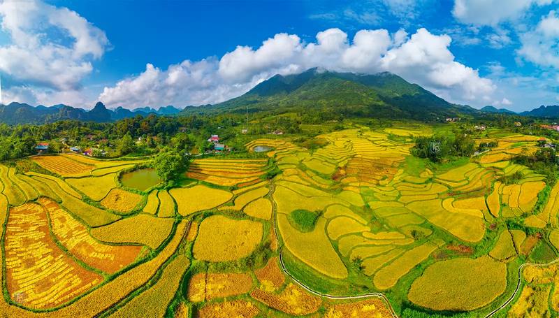 Thung lũng Hoa Bắc Sơn: Khám phá cảnh đẹp nên thơ nơi vùng núi
