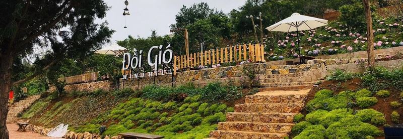 Trải nghiệm chuyến picnic đáng nhớ với thực đơn hấp dẫn tại Coffee Đồi Gió