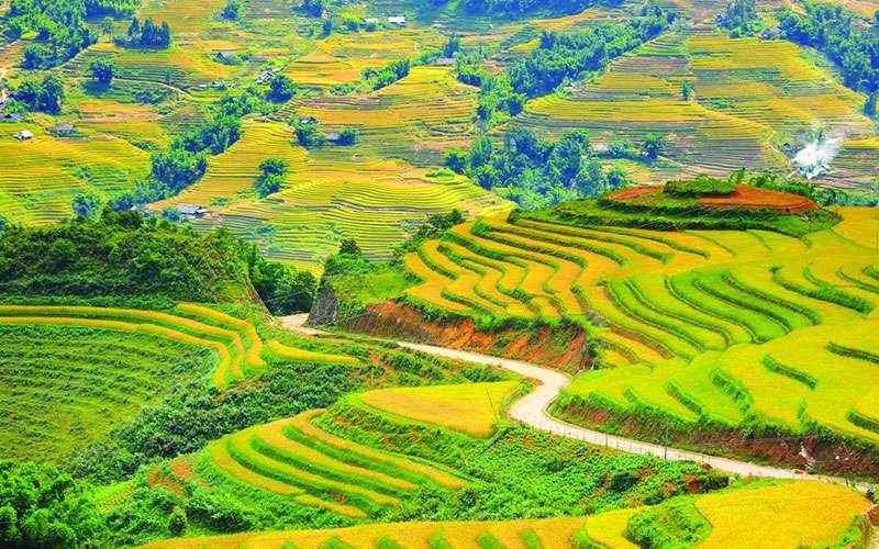 Mộc Châu mỗi mùa lại mang một vẻ đẹp khác nhau.