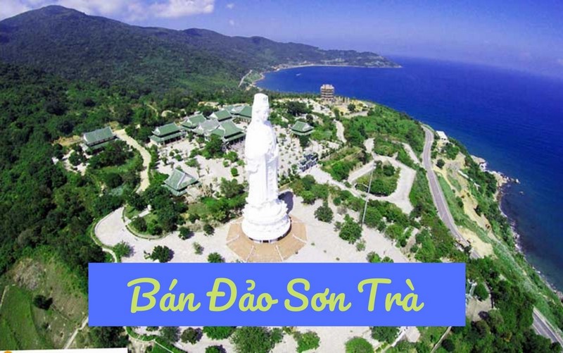 Bán đảo Sơn Trà – viên ngọc xanh của Đà Nẵng, nơi hội tụ rừng nguyên sinh, biển xanh và cảnh quan hùng vĩ