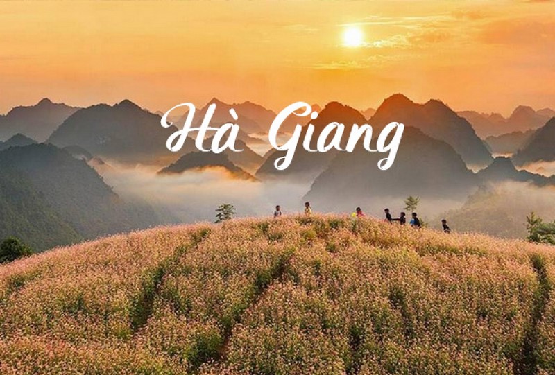 Du lịch Hà Giang mùa hoa Tam Giác Mạch