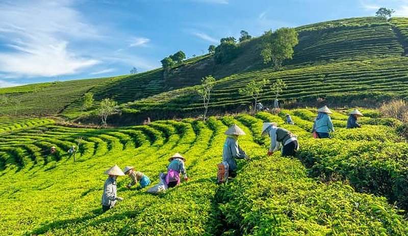 Cao nguyên Vân Hòa có gì đặc biệt?