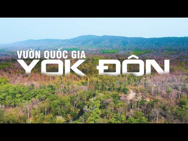 Rừng quốc gia Yok Đôn