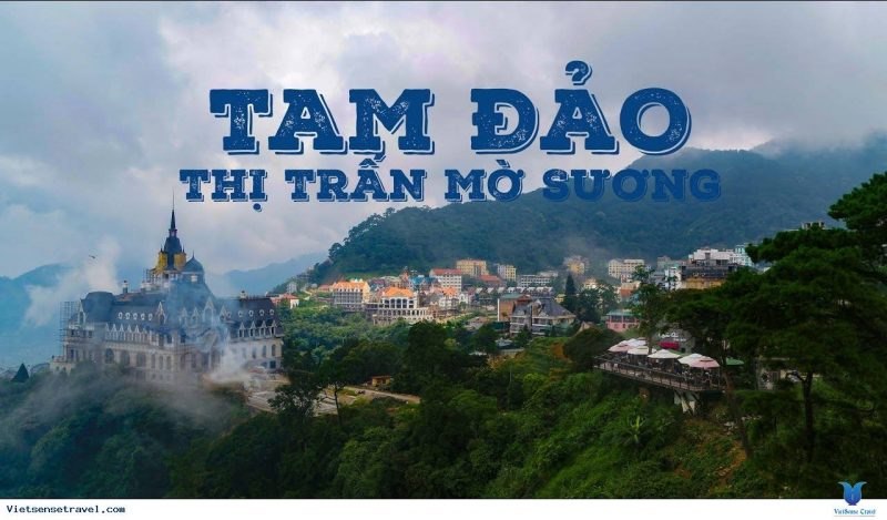 Du Lịch Tam Đảo Có Gì, Nên đi đâu, ăn Gì, Chơi Gì, ở đâu?