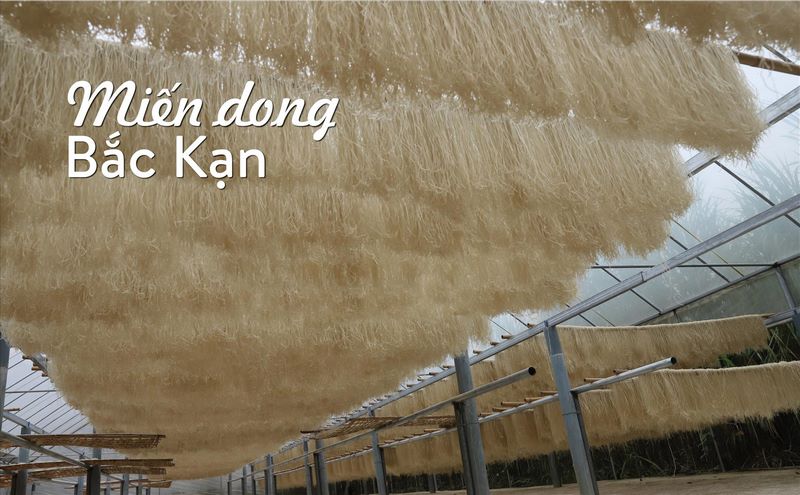 Bắc Kạn có 9 sản phẩm Miến dong được chứng nhận sản phẩm OCOP từ 3 sao trở lên