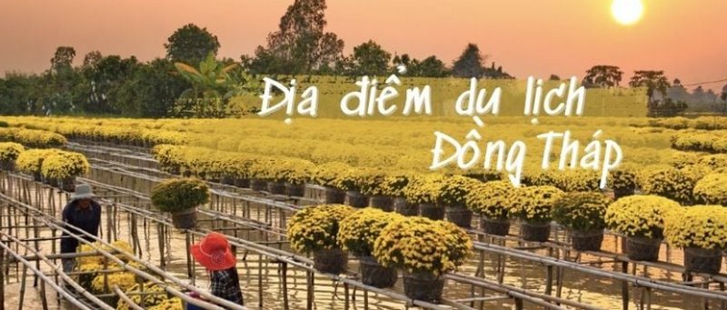 Du lịch Đồng Tháp: Mùa nào đẹp, ăn gì, chơi ở đâu?