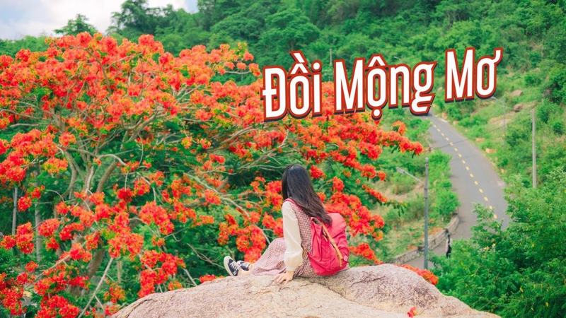 Đồi Mộng Mơ Đà Lạt - Khám Phá "Tiểu" Đà Lạt Thu Nhỏ Đầy Thi Vị