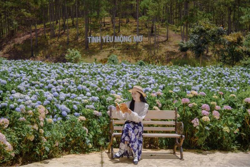 Vẻ đẹp thơ mộng của Vườn hoa cẩm tú cầu làm xiêu lòng bất kỳ ai từng đến đây (Nguồn: Internet)
