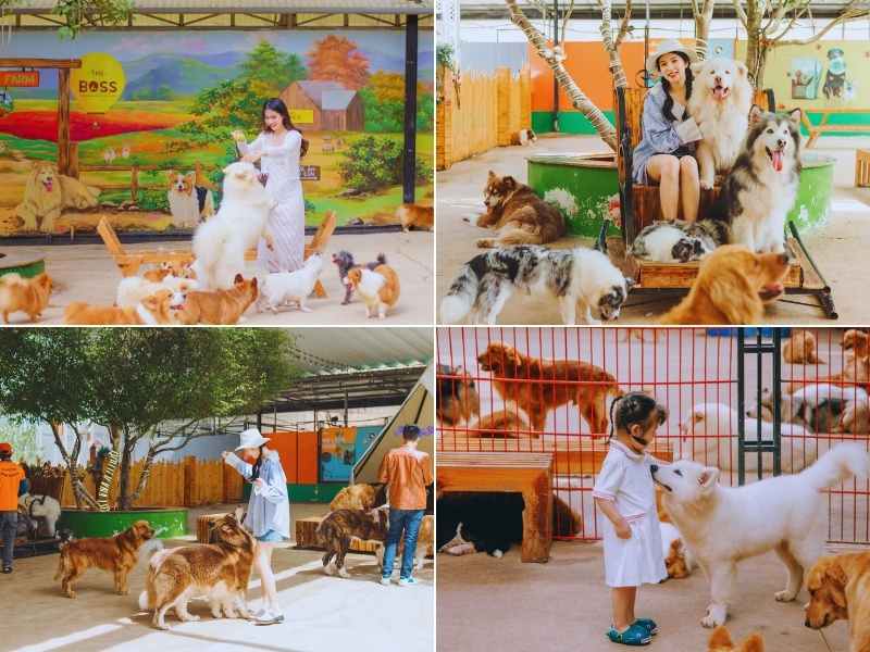 “Thiên đường” dành cho những bạn yêu thú cưng