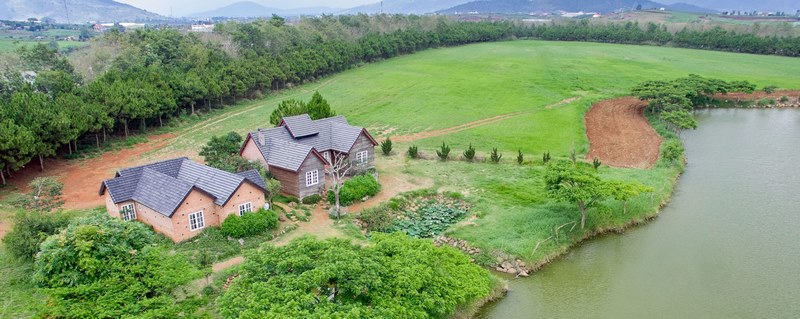 Check in nông trại bò sữa Dalat Milk Farm
