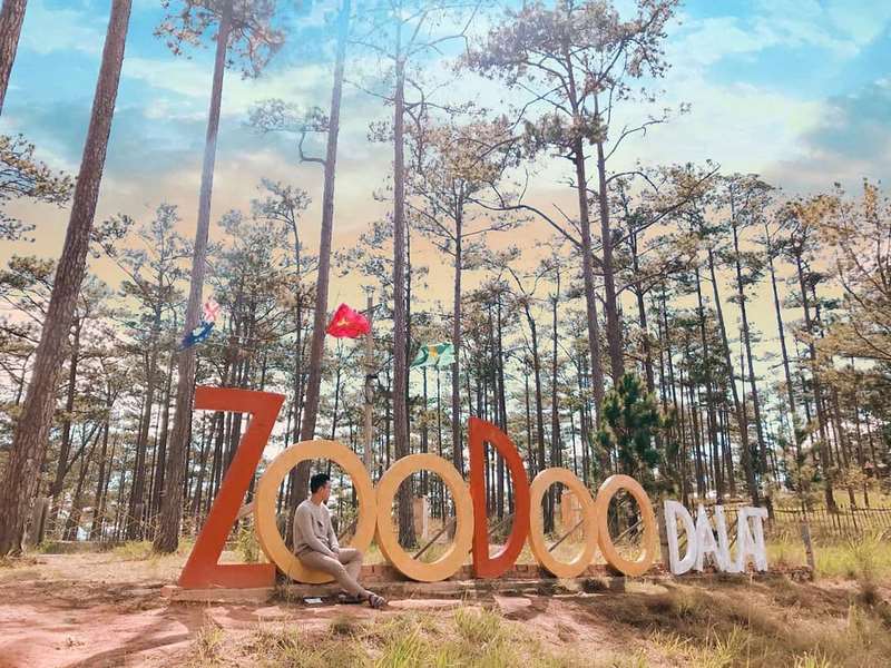 Tour Zoodoo Đà Lạt 1 Ngày