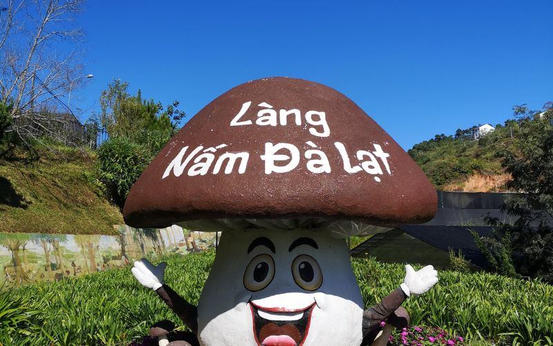 Tour Núi Rừng – Hoa Lá – Chu Du Đà Lạt