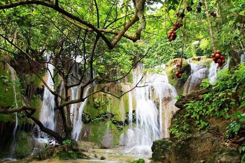 Tour Ngoại Thành Đà Lạt 1 Ngày