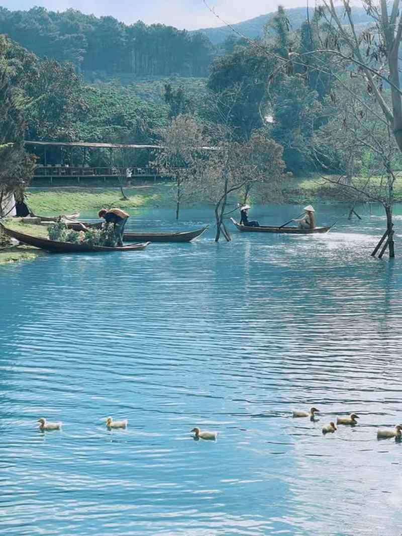 Hồ nước được lấy ý tưởng từ suối tía