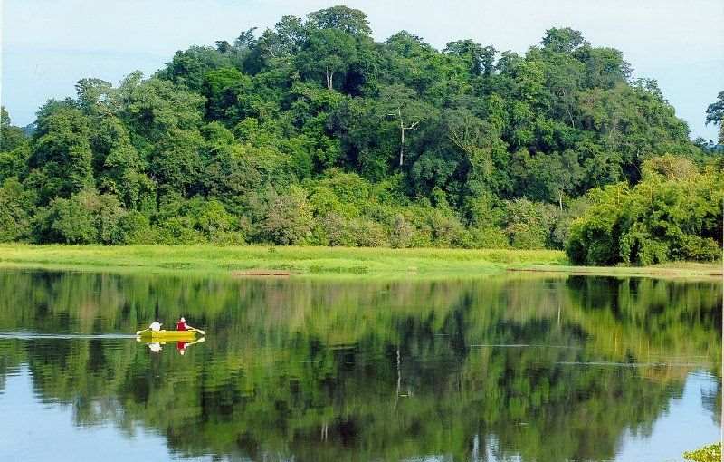 Rừng nguyên sinh Tây Cát Tiên ở Bình Phước