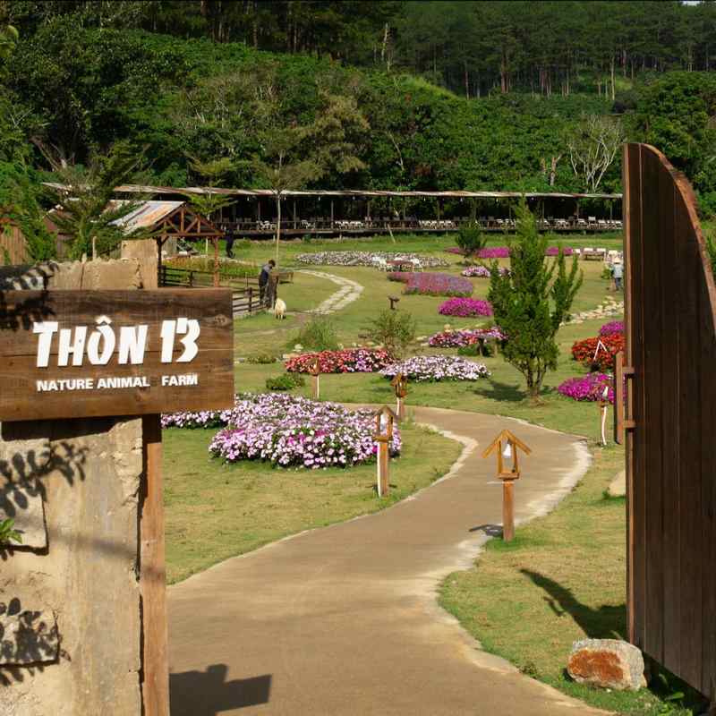 Thôn 13 Đà Lạt – Vẻ đẹp làng quê Thụy Sĩ bình dị và thơ mộng