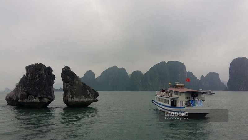 Đến với hòn Trống Mái Quảng Ninh bạn không phải lo lắng về vấn đề ăn, chơi, ngủ, nghỉ. 