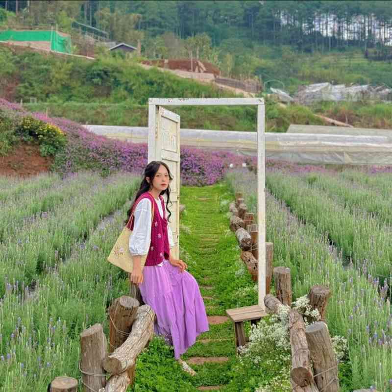 Vẻ đẹp tựa chốn bồng lai tiên cảnh của cánh đồng hoa Lavender