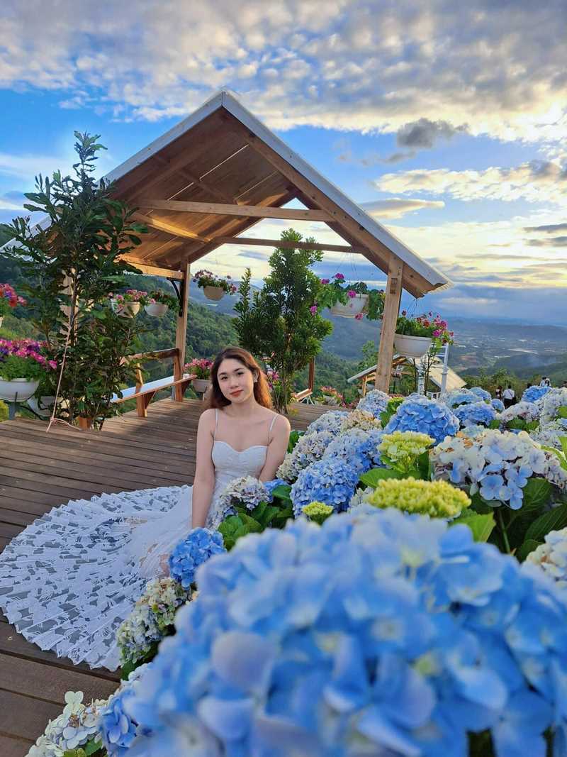 Check in tại Cao Nguyên Hoa Đà Lạt