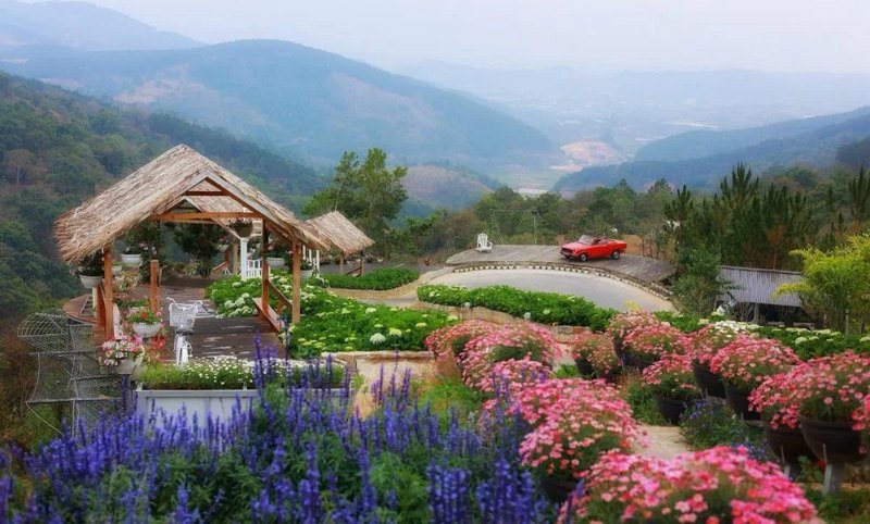 Cao Nguyên Hoa Đà Lạt rộng lớn với 122 ha, nằm trên đèo Tà Nung