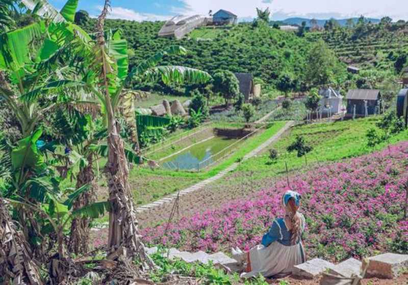 Check in tại Thung lũng hoa Tà Nung