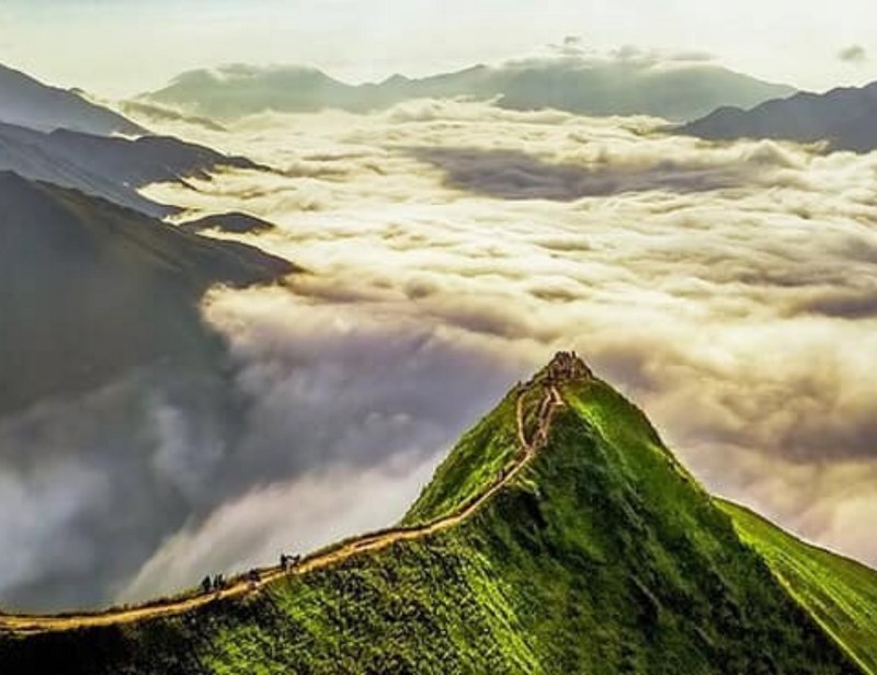 Sống lưng Khủng Long - Tà Xùa