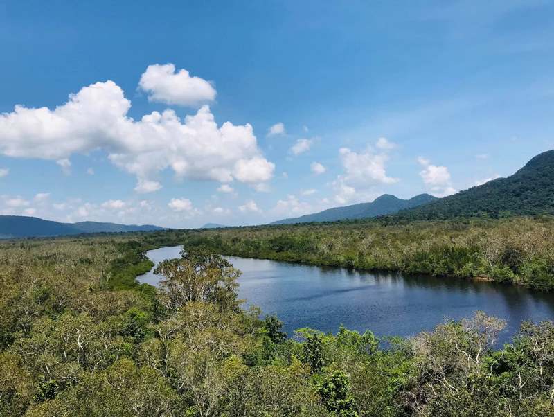 Chiêm ngưỡng khu rừng nguyên sinh hai bên bờ sông Rạch Tràm