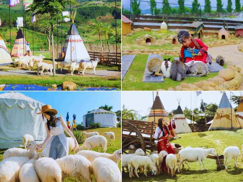 Khu vườn sở thú tại Mongo Land Đà Lạt
