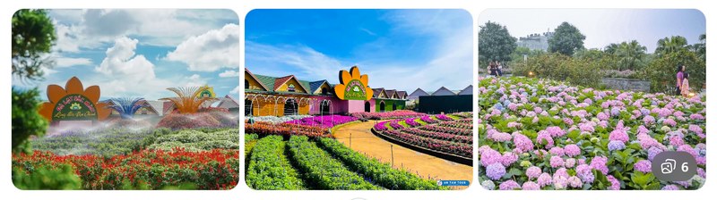 Làng Hoa Vạn Thành – Bức tranh rực rỡ sắc hoa Đà Lạt