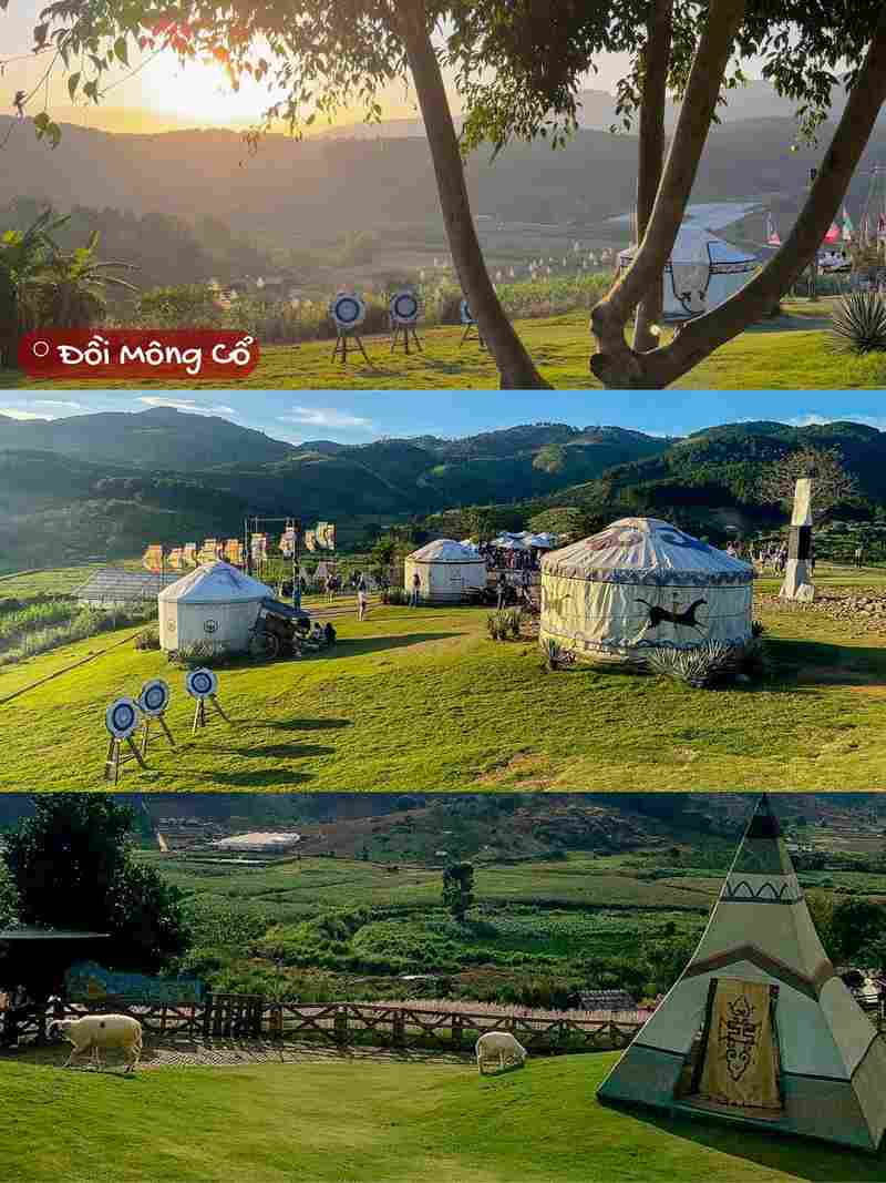Đến Mongo Land để được hoà mình giữa thiên nhiên bao la, chill cùng ngàn hoa