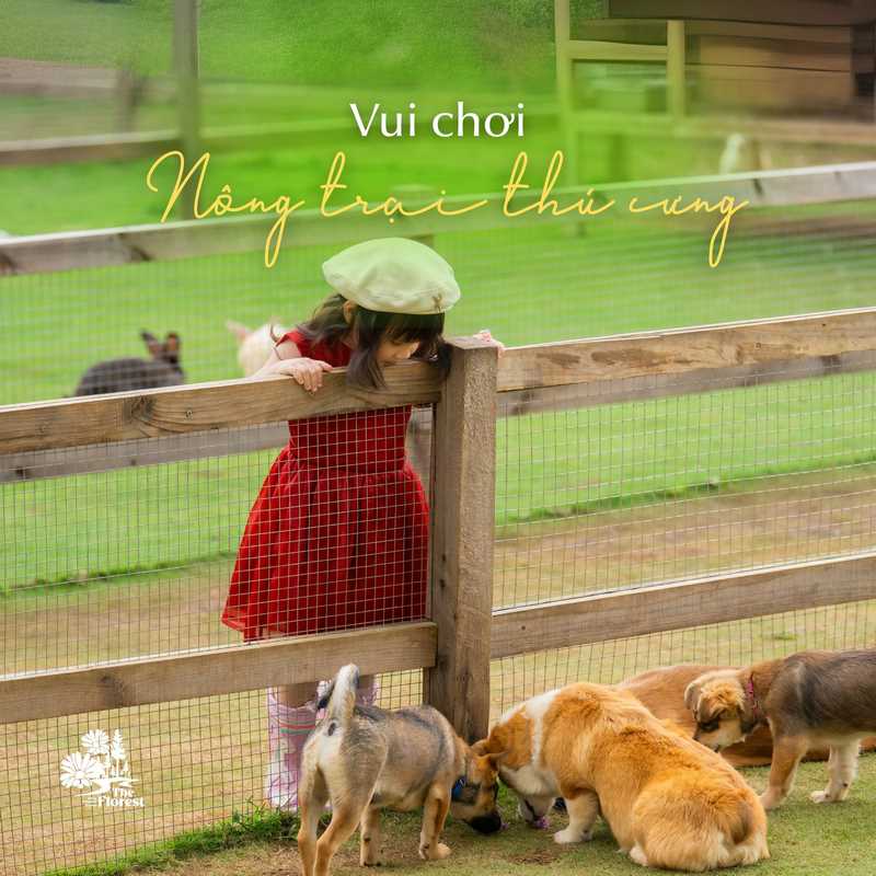 Các em cún siêu dễ thương