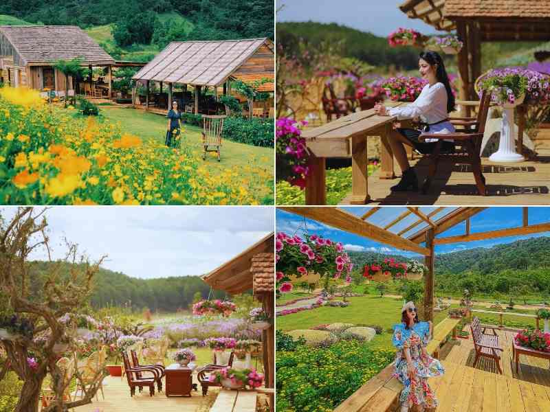 Không gian quán cafe tại The Florest - Hoa Trong Rừng Đà Lạt