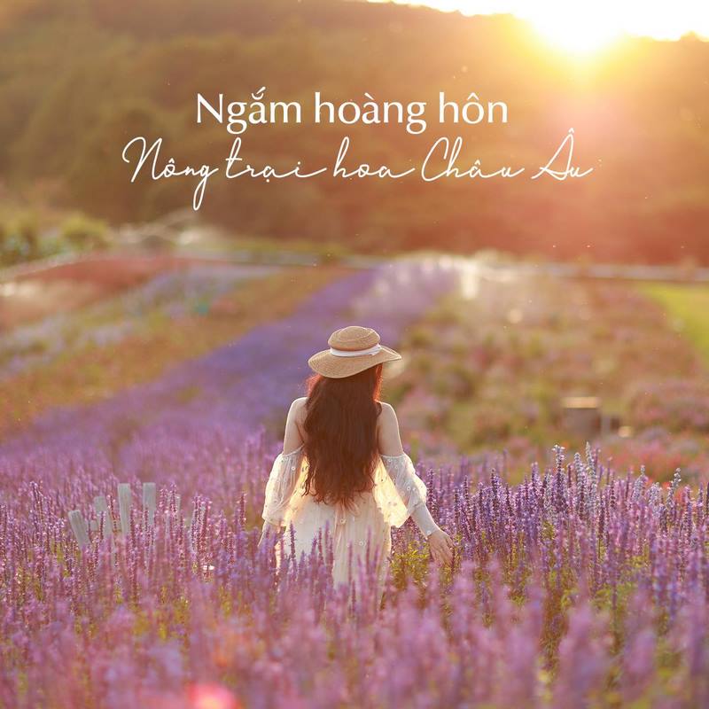 Không gian rộng, nhiều khu vực chụp ảnh rất đẹp