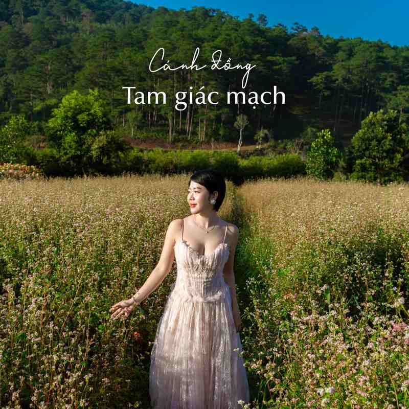 Vườn hoa tam giác mạch
