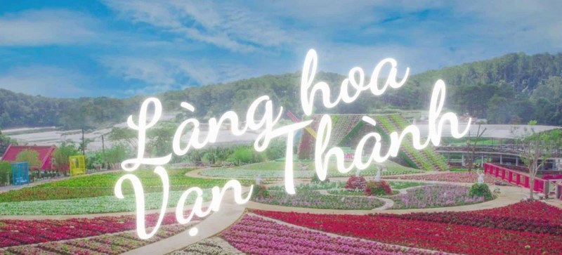 Dạo quanh Làng hoa Vạn Thành ngắm nhìn hàng triệu bông hoa và nông sản