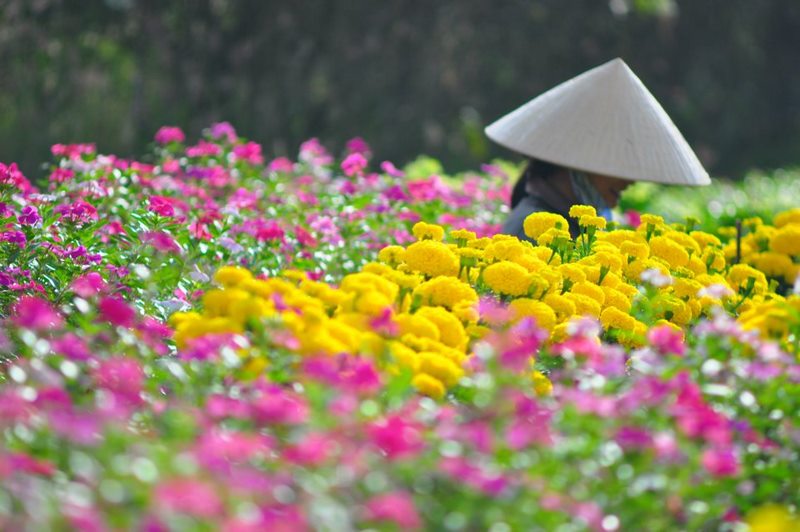 Khám phá mọi “ngóc ngách” của vườn hoa Vạn Thành