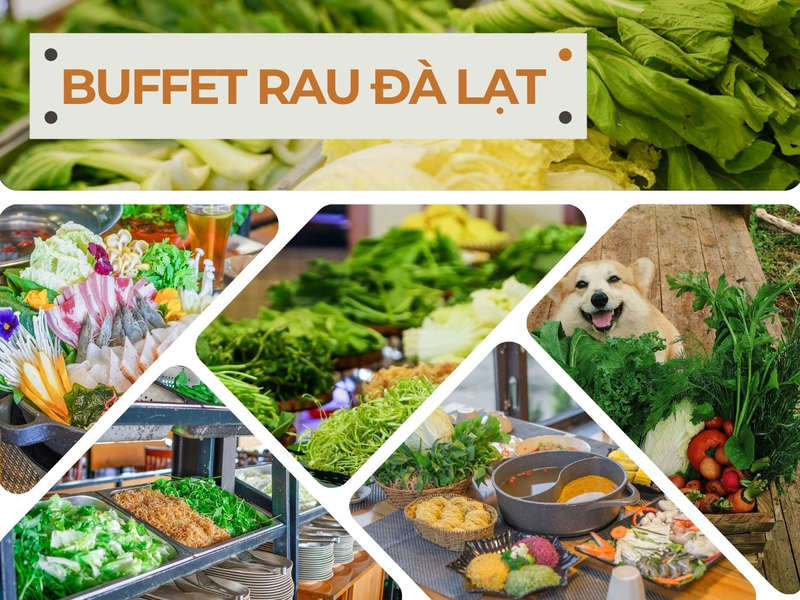 Khám Phá Nhà Hàng Buffet Rau Đà Lạt