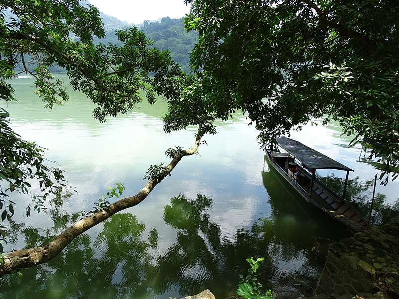 Thuyền neo dưới tán cây ven hồ Ba Bể