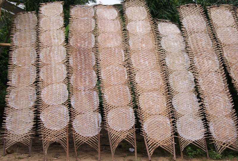 Những vỉ tre phơi bánh tráng tròn ngoài nắng