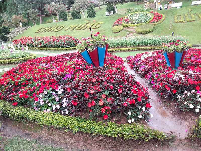 Bồn hoa nhiều màu trên sườn dốc trong vườn hoa Đà Lạt