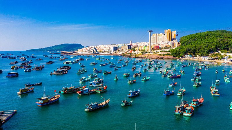 Cảng cá đông thuyền gỗ nhiều màu, phía sau là khu phố và đồi