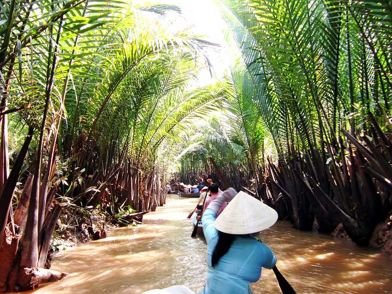 Người chèo xuồng đưa khách qua con rạch hai bên dừa nước ở cồn Quy