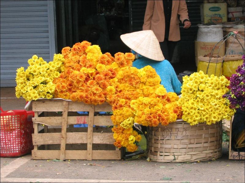 Hàng hoa cúc bày bán bên đường ở Đà Lạt