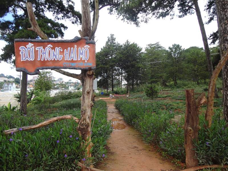 Biển gỗ Đồi thông hai mộ và lối mòn lên đồi