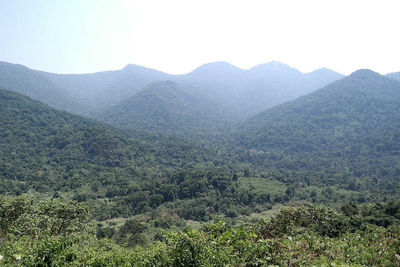 Núi rừng hai bên đèo Bảo Lộc