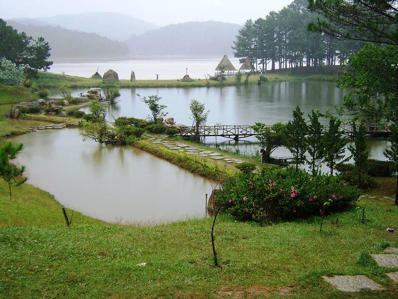 Thung Lũng Vàng Đà Lạt trong sương sớm